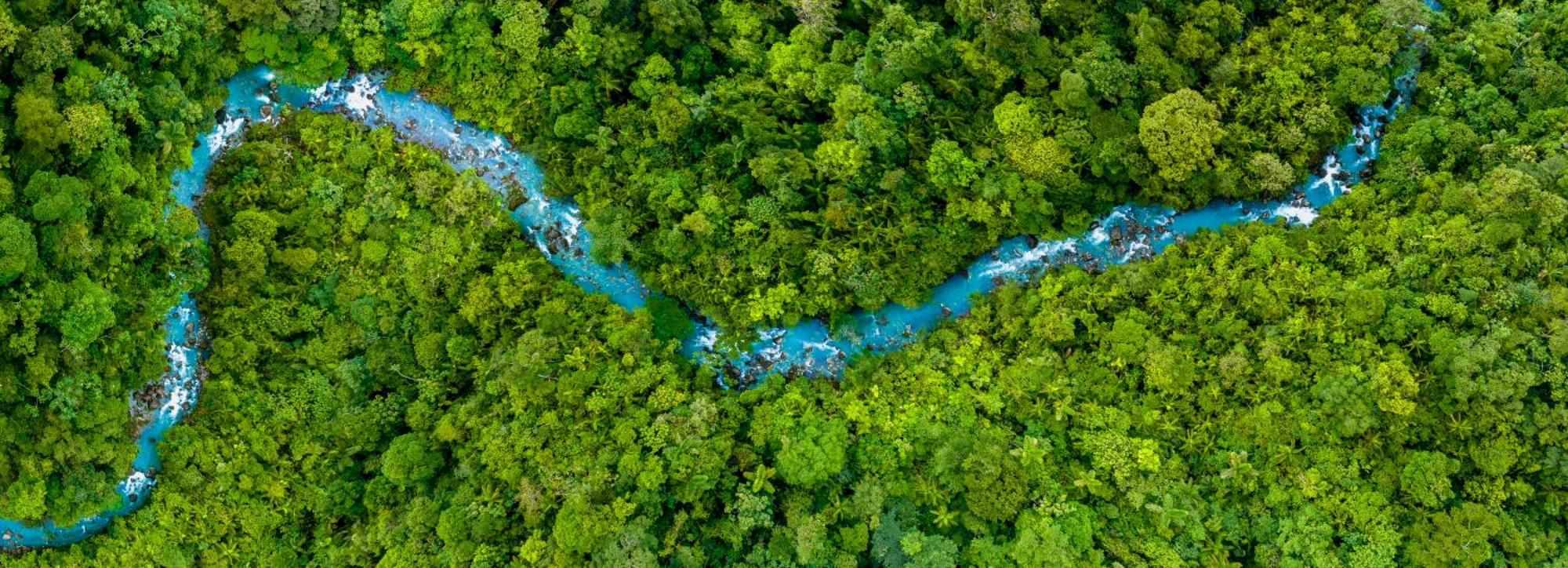 Hideaway Rio Celeste Hotel Bijagua Luaran gambar