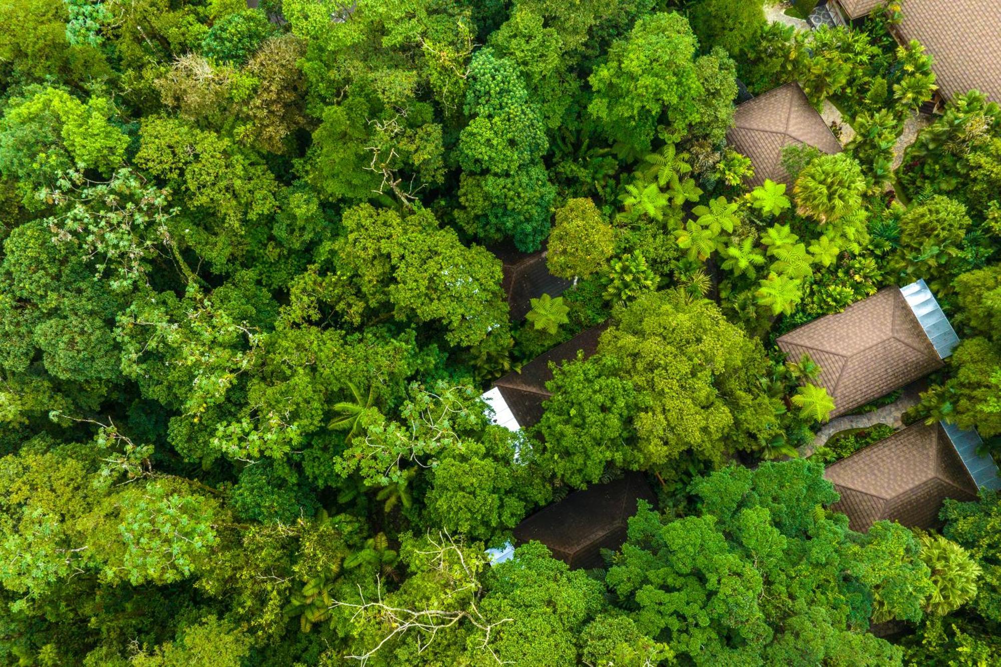 Hideaway Rio Celeste Hotel Bijagua Luaran gambar